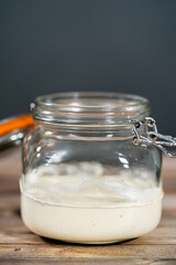 Sourdough starter