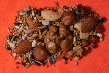 close up of seeds