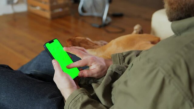 A young male freelance tester is sitting at home on the couch with his dog and checking a mobile application on his phone. Green screen on the phone in the atmosphere of home use. High quality 4k