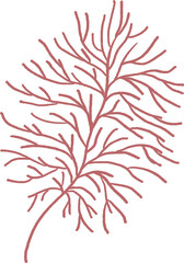 Abstract botanical boho element, minimalistic pastel clipart, red coral