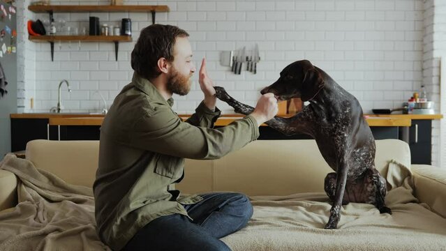 A millennial man with a beard is sitting with his dog on the sofa in a bright apartment and is engaged in her training, teaching the dog to high-five and rewards with a delicious dog treat. 4k footage