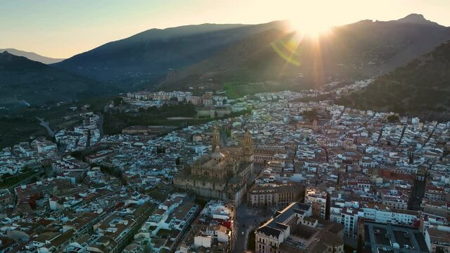 Spain Jaen Cathedral, Catedral de Jaen, flying shoots