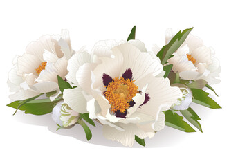 Decorative boutonniere bouquet of white wood peony flowers for wallpaper decor, postcards, weddings, holidays