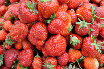 close-up of stack of fresh ripe strawberries after harvesting
