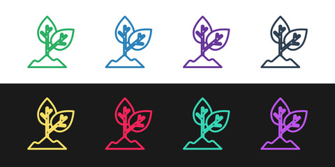 Set line Plant icon isolated on black and white background. Seed and seedling. Leaves sign. Leaf nature. Vector