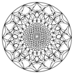 Mandala vektor illustrations 