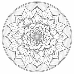 Mandala vektor illustrations 