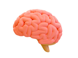3d minimal brain. learning and education concept. symbol of knowledge. 3d illustration.