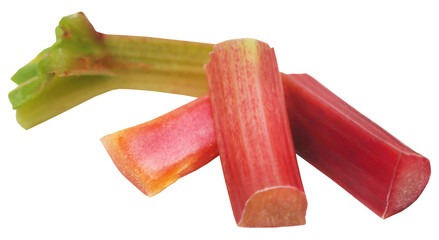 Fresh rhubarb stalk