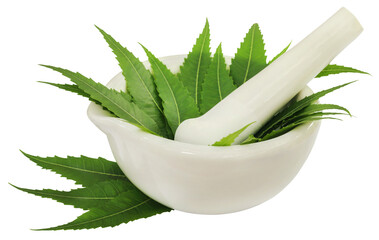 Medicinal neem leaves