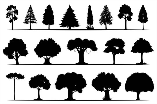 Set of silhouettes trees, Black forest trees silhouette collection