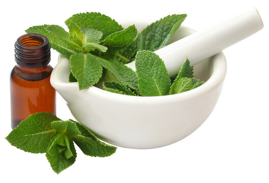 Mint leaves with essential oil in a bottle