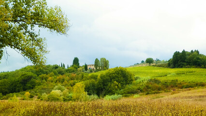 Fototapeta na wymiar Tuscan field on a cloudy day