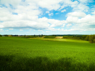 Obraz premium Green fields in Kashubia region - Northern Poland.
