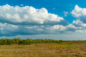 White cumulus storm clouds in the sky during the day, Ukraine