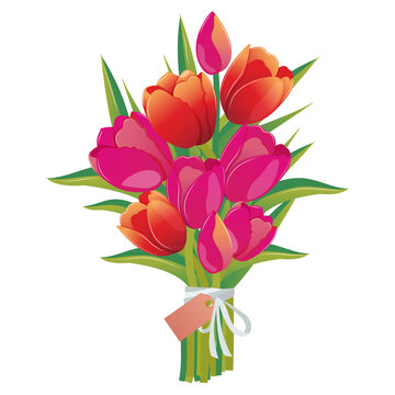 Bouquet of tulips. Red, pink, yellow spring flowers. Vector floral clip art illustration. Mother's day, women's day,  March 8. Print on fabric and paper. Cartoon style