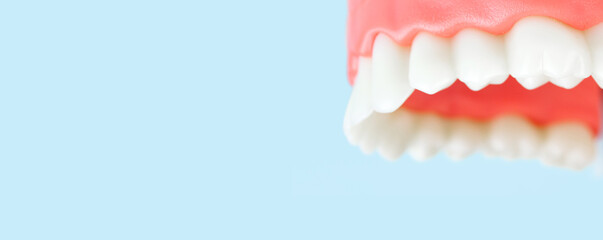Front view of complete denture. Dental concept. False teeth, jaws. Close-Up Of Dentures Against Blue Background. Denture picture with focus on teeth on blue background.
