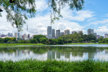 Fototapeta na wymiar paisagem do parque da cidade. Contato com a natureza. 