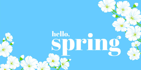 horizontal decorative composition with white spring flowers and the text "HELLO, SPRING" on a light blue background