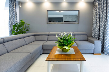 Bright interior of the living room in white and gray colors