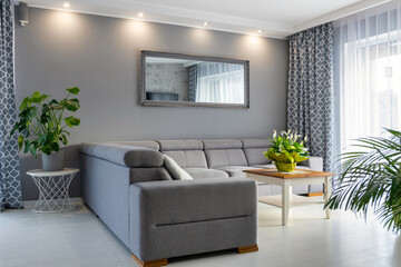 Bright interior of the living room in white and gray colors