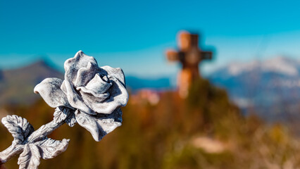 Details of a beautiful stone rose at the famous Buchensteinwand summit, St. Jakob in Haus, Tyrol, Austria
