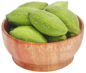 Fresh green medicinal haritaki