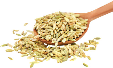 Fennel seeds in a wooden spoon