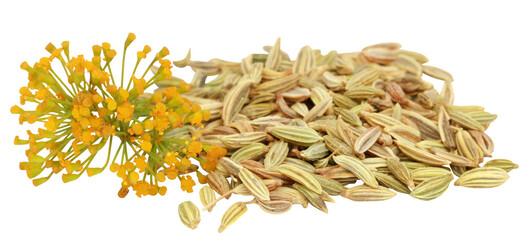 Fennel seeds with flowers