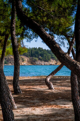 The small coastal village and port of Fanari, Greece has several small beaches within the village itself and one long stretch of beach outside. The long beach has been awarded the Blue Flag