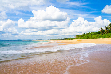 Beautiful tropical landscape. Sandy ocean shore. Beautiful texture background for tourism, design...
