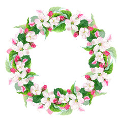 Apple tree blooming botanical floral wreath. Watercolor illustration isolated on white