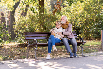 Portrait of a beautiful senior couple in the public park. Early retirement