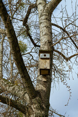 birdhouse on a tree