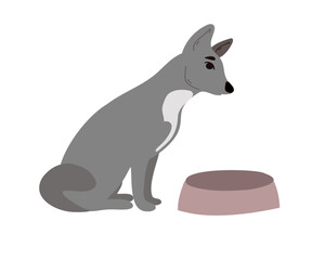 Dog sits next to the bowl. Flat vector illustration