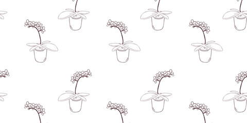 Fototapeta premium Seamless pattern with orchids in a pot, doodle or line vector illustration