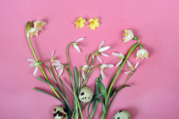 Easter composition with snowdrop flowers and quail eggs on a pink background.