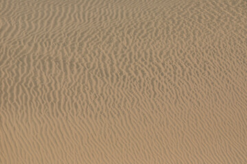 Sand ripples in Al Udeid Desert, Qatar