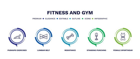 set of fitness and gym thin line icons. fitness and gym outline icons with infographic template. linear icons such as pushups exercises, lumbar belt, resistance, standing punching ball, female