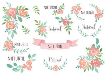 Rose watercolor frame