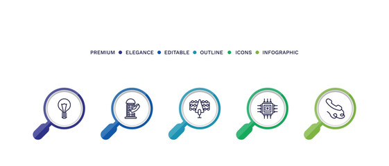 set of thin line icons. outline icons with infographic template. linear icons such as