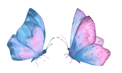 A set of delicate cute blue and lilac butterflies. Watercolor illustration isolated objects on a white background. For decoration, design of romantic, wedding events, textiles, poscards, card making