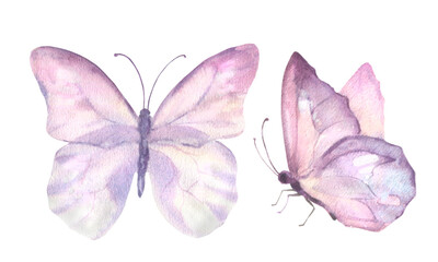 A set of delicate cute pink butterflies. Watercolor illustration isolated objects on a white background. For decoration, design of romantic, wedding events, textiles, poscards, card making.