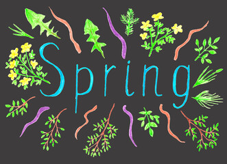 Illustration of spring word decorated with plants, flowers and branches hand drawn with colored pencils isolated on grey background