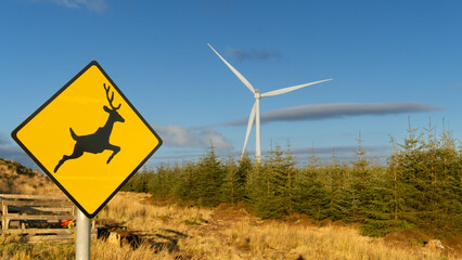 Znak uwaga na jelenie w tle wiatrak z farmy wiatrowej Irlandia okolice Arklow - obrazy, fototapety, plakaty