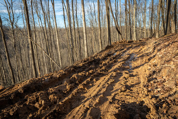 Tracks in muddy forest trail left by loggers 