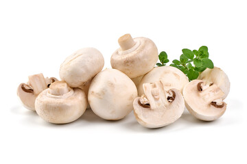 Champignons, close-up, isolated on white background.