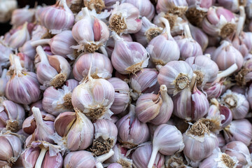 Garlic heads close up. Street food market. Source of vitamin C. Alternative medicine. 