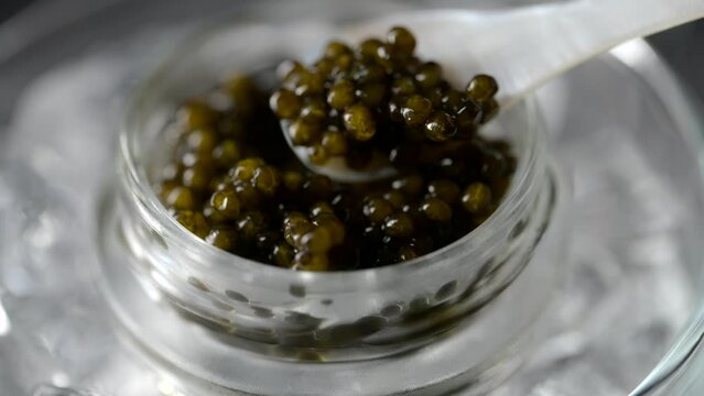  black caviar on ice with pearl spoon
