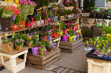 Open window of a flower shop on the street.